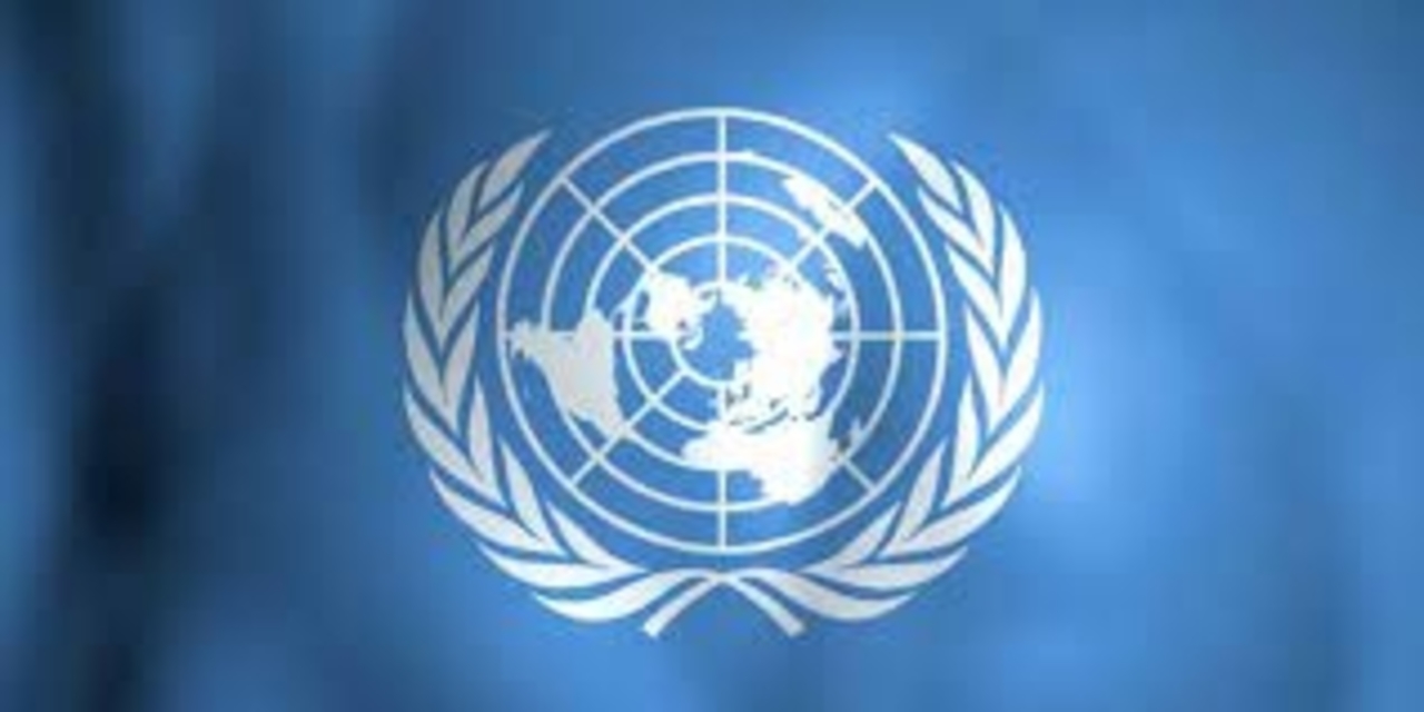 Breaking: ÜRO käivitab NFT-d, et tõsta esile kliimakriisi PlatoBlockchain andmeluure. Vertikaalne otsing. Ai.