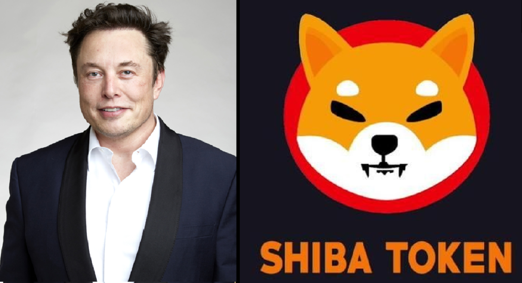 Elon Musk and shiba