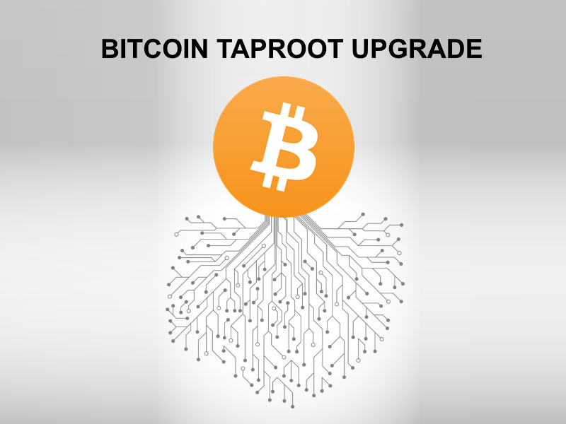🔴 A Major Bitcoin Upgrade Activated | This Week in Crypto – Nov 15, 2021 Blockchain PlatoBlockchain Data Intelligence. Vertical Search. Ai.