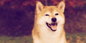 Glöm Dogecoin: SHIB, ELON och SAMO var de ledande memmynten i 'Uptober' PlatoBlockchain Data Intelligence. Vertikal sökning. Ai.