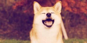 Gemini Adds Dogecoin Rival Shiba Inu Following Massive SHIB Surge PlatoBlockchain Data Intelligence. Vertical Search. Ai.