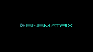 BNBMatrix PlatoBlockchain ڈیٹا انٹیلی جنس کے ساتھ ییلڈ فارمنگ میں زیادہ منافع پیدا کریں۔ عمودی تلاش۔ عی