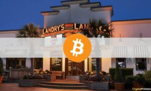 Bitcoin আনুগত্য পুরস্কার প্রোগ্রাম PlatoBlockchain ডেটা বুদ্ধিমত্তার জন্য Landry's NYDIG-এর সাথে দল বেঁধেছে। উল্লম্ব অনুসন্ধান. আ.