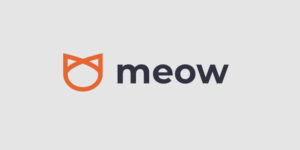 Meow מגייסת 5 מיליון דולר במימון ראשוני לבניית גשר בין אוצר תאגידים לשוק תשואות הקריפטו PlatoBlockchain Data Intelligence. חיפוש אנכי. איי.