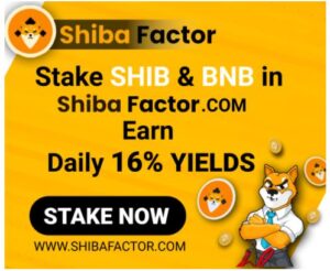 SHIBAFACTOR.com: Panosta SHIB:tä ja BNB:tä päivittäiseen tuottoon PlatoBlockchain Data Intelligence. Pystysuuntainen haku. Ai.