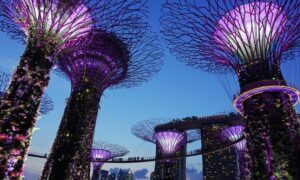 सिंगापुर स्थित ओसीबीसी ग्राहकों की प्लेटोब्लॉकचेन डेटा इंटेलिजेंस की जरूरतों को पूरा करने के लिए क्रिप्टो एक्सचेंज स्थापित करने पर विचार कर रहा है। लंबवत खोज. ऐ.