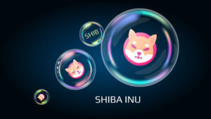 Kust osta Shiba Inu, imearmsat kutsikat, kes tegi PlatoBlockchain Data Intelligence'i ajalukku. Vertikaalne otsing. Ai.