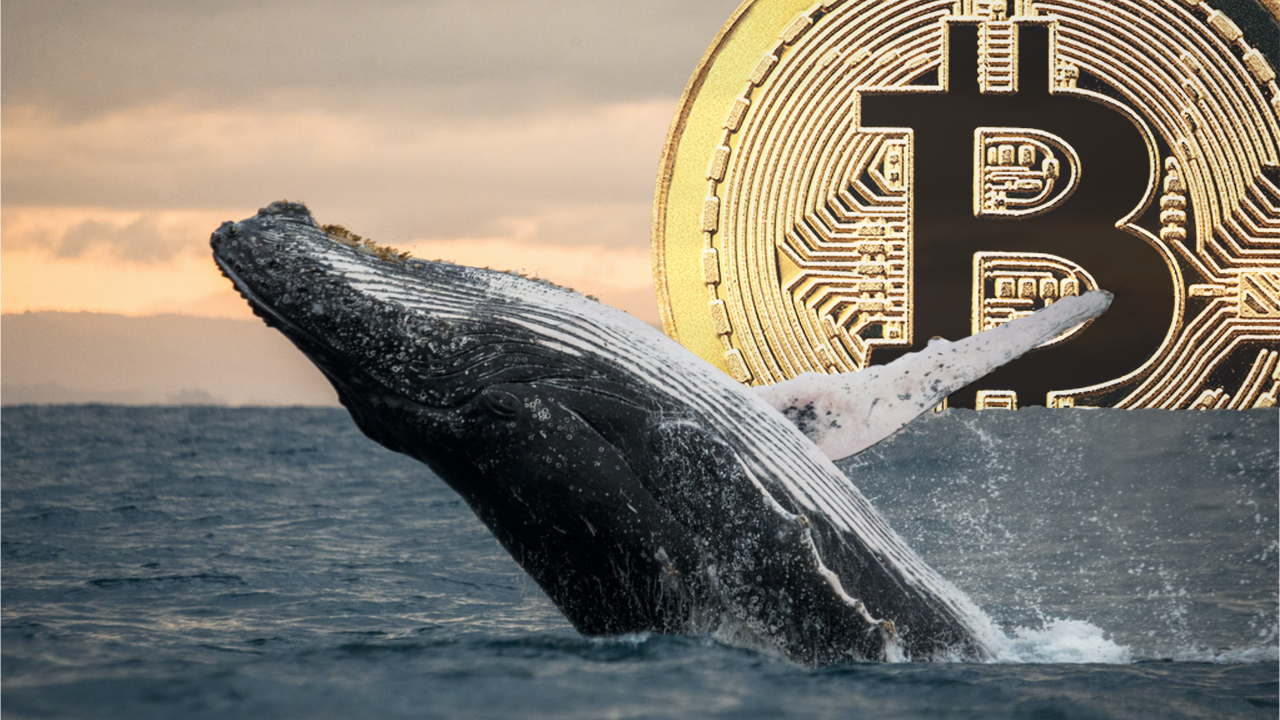 While BTC Skyrocketed to $69K, Whale From 2013 Transfers $147 Million Worth of ‘Sleeping Bitcoins’ PlatoBlockchain Data Intelligence. Vertical Search. Ai.