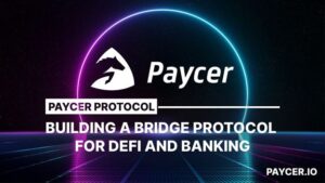 Deutsches Fintech-Startup Paycer kombiniert DeFi, Krypto mit konventionellen Bankdiensten PlatoBlockchain Data Intelligence. Vertikale Suche. Ai.