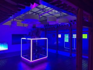 3Space Art открывает «Enter the Void», первую художественную выставку NFT, проходящую одновременно в физической галерее и сбор данных Metaverse PlatoBlockchain. Вертикальный поиск. Ай.