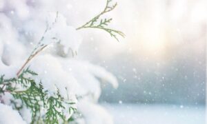 آیا «زمستان» کریپتو ژانویه واقعاً برای ماندن در هوش داده PlatoBlockchain آمده است. جستجوی عمودی Ai.