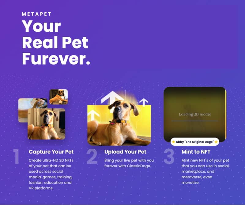 Crypto News Roundup: Twitter NFT Profile Pics, Walk Your Dog In The Metaverse, NYC Mayor Gets Paid In Bitcoin Bolt PlatoBlockchain Data Intelligence. Vertical Search. Ai.