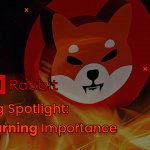 Hot Dog Spotlight: Shiba Inu põletav tähtsus PlatoBlockchaini andmete luure. Vertikaalne otsing. Ai.