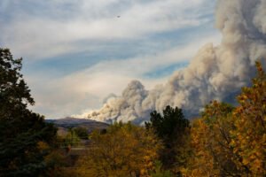 Bir NFT projesi, Colorado PlatoBlockchain Veri İstihbaratı'nın yangınlarla harap olmuş ormanlarının yeniden canlandırılmasına nasıl yardımcı oluyor? Dikey Arama. Ai.