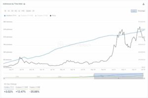 Long-Term Holders and Whales Continue Accumulating Despite the Bitcoin Crash (Research) PlatoBlockchain Data Intelligence. Vertical Search. Ai.