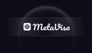 MetaVisa Credit System: Redefining Identity In The New Technological Age Information Age PlatoBlockchain Data Intelligence. Vertical Search. Ai.