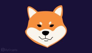 Shiba Inu Immersed In Uncertainties As India’s CryptoRelief Sends Back $100M In SHIB To Ethereum’s Vitalik Buterin PlatoBlockchain Data Intelligence. Vertical Search. Ai.