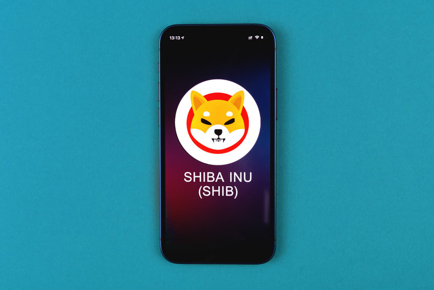 5 Reasons Why You Should Buy Shiba Inu Today for 2022 Gains