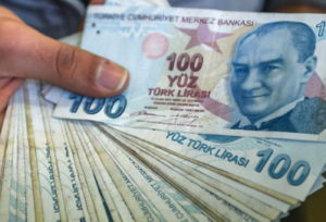 土耳其公民在寻找稳定的 PlatoBlockchain 数据智能时涌向加密货币。 垂直搜索。 哎。