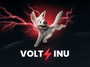 Volt Inu ($VOLT) מגיע ל-3000+ מחזיקים ארבעה ימים לאחר השקת PlatoBlockchain Data Intelligence. חיפוש אנכי. איי.