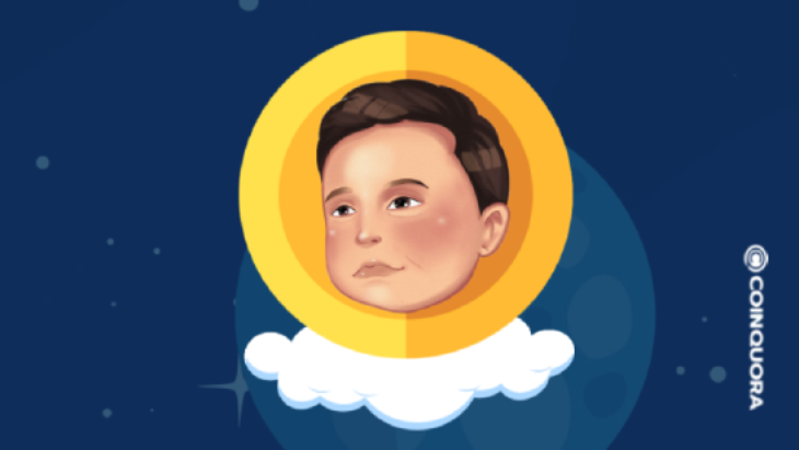 Baby Musk Coin, зібраний понад 2 мільйони доларів під час ICO, спрямований на революцію в індустрії MEME PlatoBlockchain Data Intelligence. Вертикальний пошук. Ai.