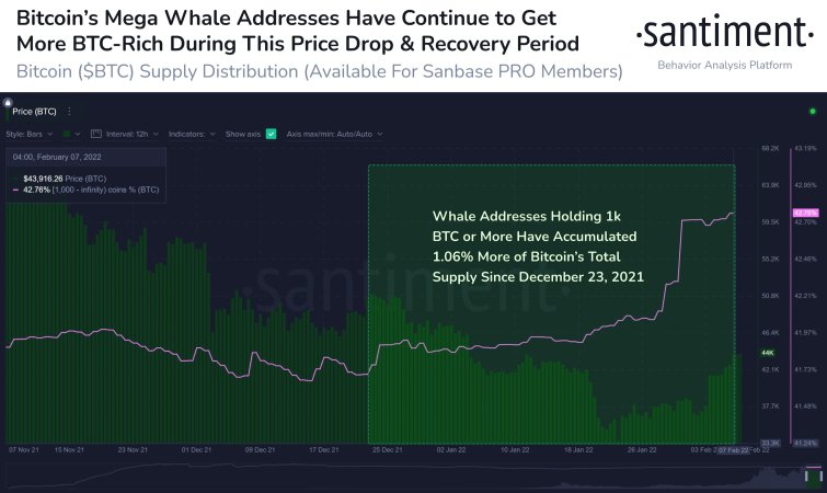 Bitcoin Whale se mișcă brusc peste 489,000,000 USD în BTC – Iată unde se îndreaptă cripto-ul PlatoBlockchain Data Intelligence. Căutare verticală. Ai.