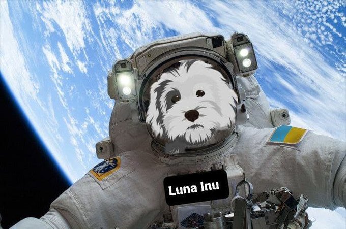 Dogecoin and Shiba Inu Knockoff Jeff Bezos pet inspired Luna Inu Surges by 77%