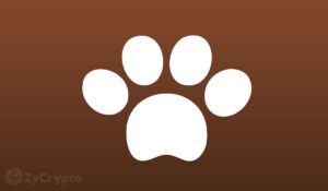 Dogecoin parandab Interneti, muutudes standardseks mikrotehingute võrguks: DOGE kaaslooja Billy Markus PlatoBlockchain Data Intelligence. Vertikaalne otsing. Ai.