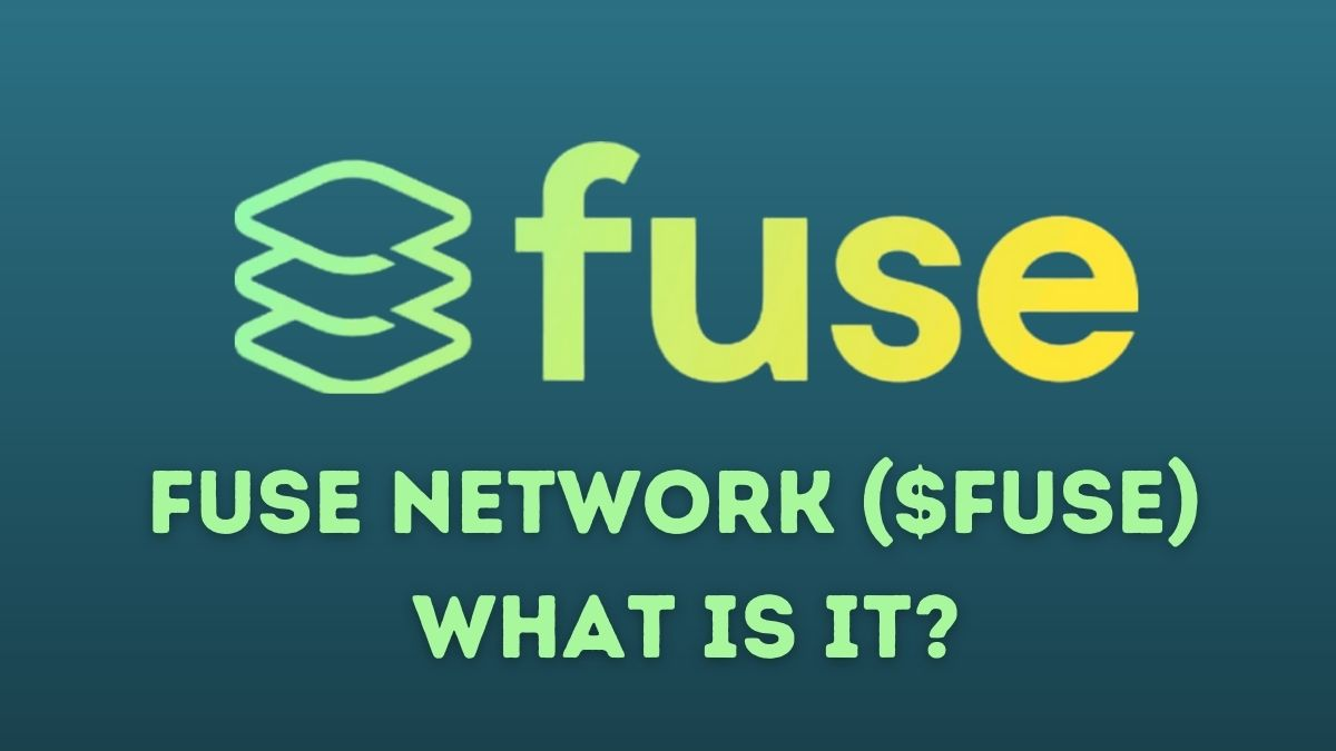 퓨즈 네트워크 란 무엇입니까?