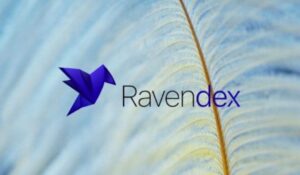 Ravendex עולה ב-15% כאשר האסימון שואף לשיאים חדשים של אינטליגנציה של PlatoBlockchain. חיפוש אנכי. איי.