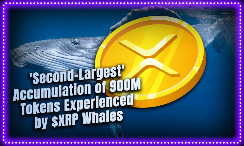 'Den nest største' akkumulering av 900 millioner tokens opplevd av $XRP Whales PlatoBlockchain Data Intelligence. Vertikalt søk. Ai.