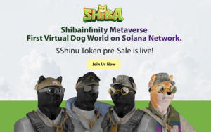 ShibInfinity luo 10 tuhatta ainutlaatuista Shiba NFT:tä PlatoBlockchain-tietoälyä. Pystysuuntainen haku. Ai.