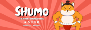 Shumo, verdens mest magtfulde Shib, lancerer sit token PlatoBlockchain Data Intelligence. Lodret søgning. Ai.