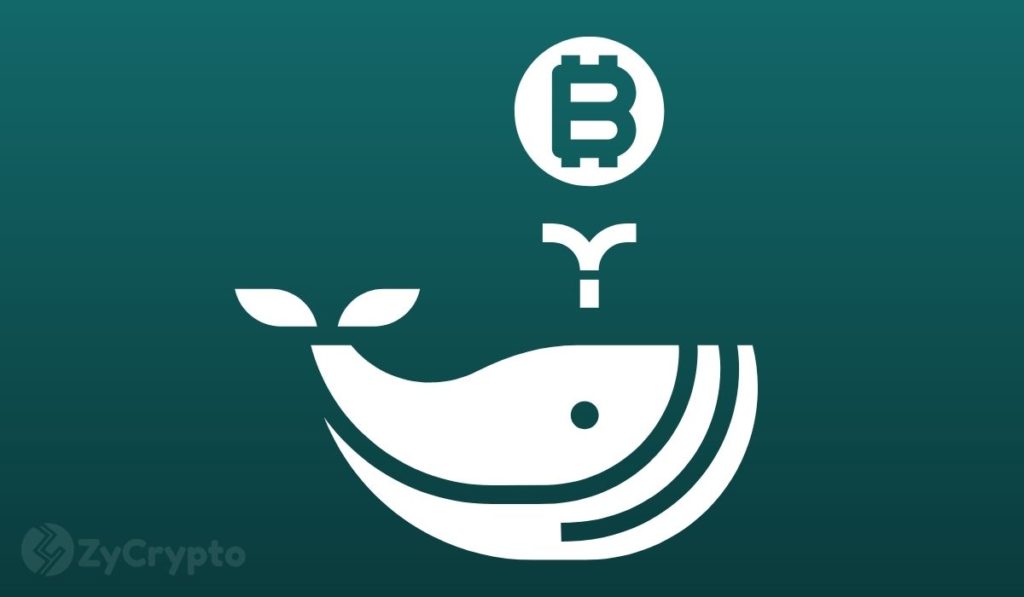 This Mysterious Bitcoin Whale Just Moved BTC Worth $1.9 Billion As Exchange Balances Fall PlatoBlockchain Data Intelligence. Vertical Search. Ai.
