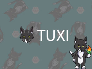Tuxi بلی کے بچوں کے تحفظ کے لیے ایک چیریٹی ٹوکن تیار کرتا ہے پلیٹو بلاکچین ڈیٹا انٹیلی جنس۔ عمودی تلاش۔ عی