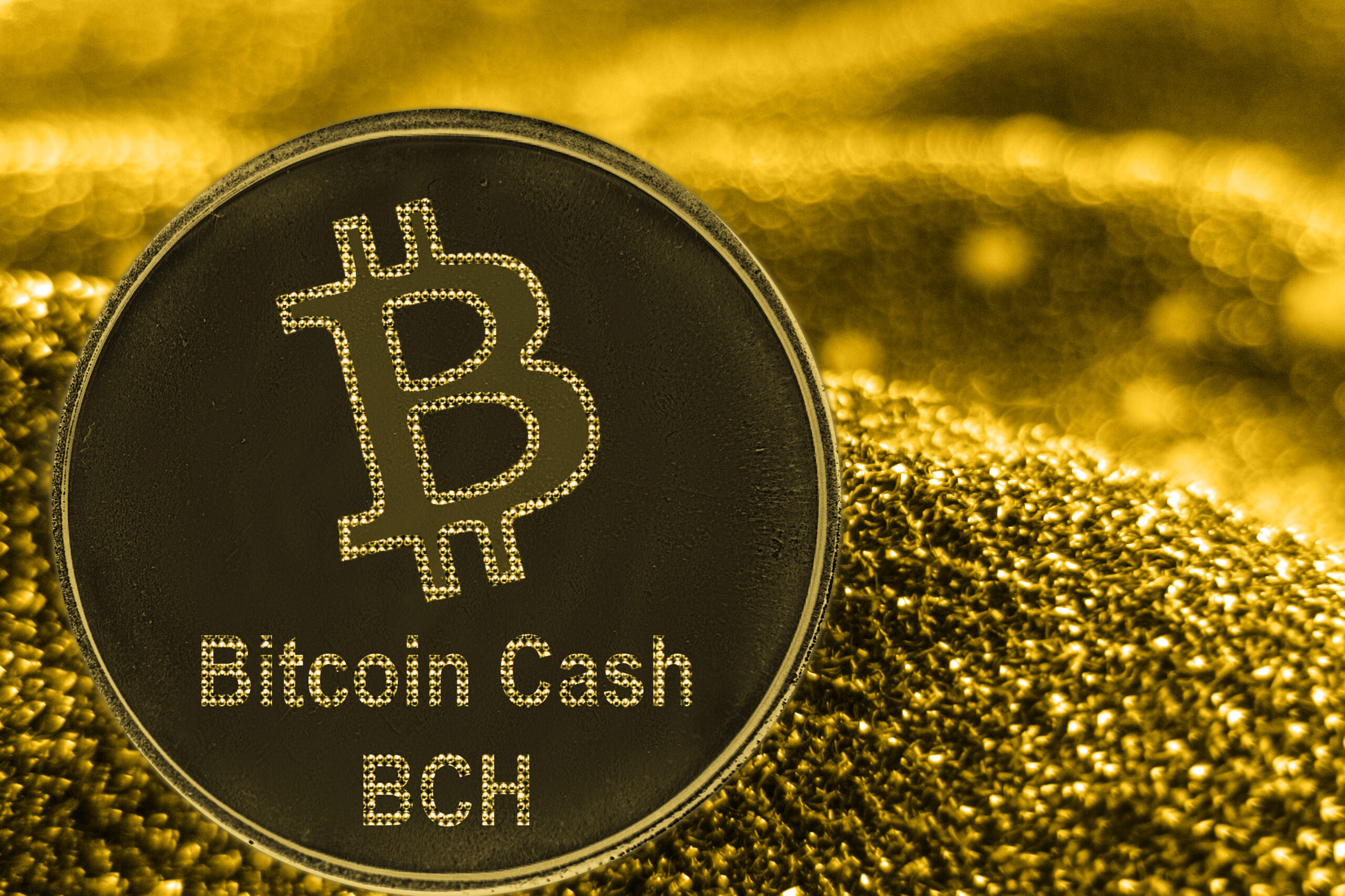 Bitcoin מזומן (BCH)
