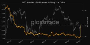 Akkumulering: Bitcoin Whale-adresser når 10-måneders høj PlatoBlockchain-dataintelligens. Lodret søgning. Ai.