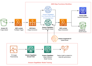 Automated, scalable, and cost-effective ML on AWS: Detecting invasive Australian tree ferns in Hawaiian forests PlatoBlockchain Data Intelligence. Vertical Search. Ai.