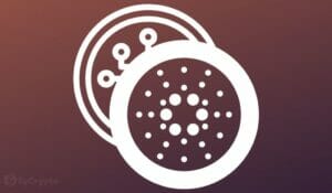 Cardano TVL Growing At Breakneck Pace — Factors That Could Propel It To $1 Billion In No Time PlatoBlockchain Data Intelligence. Vertical Search. Ai.