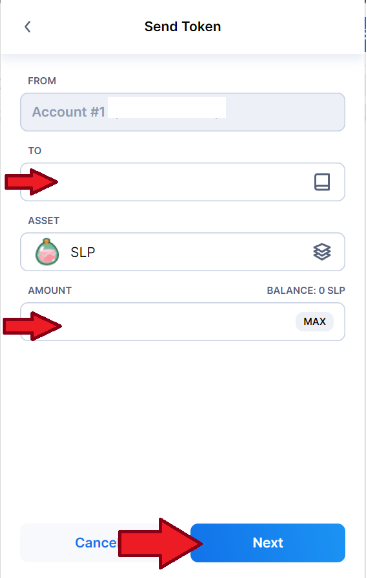 Coins.ph Now Supports Ronin SLP and AXS Deposits facebook messenger PlatoBlockchain Data Intelligence. Vertical Search. Ai.