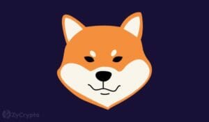 Ether Whales Continue To Accumulate Shiba Inu Despite Losing 60,000 Holders Within Ten Days PlatoBlockchain Data Intelligence. Vertical Search. Ai.