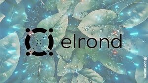 إيثيوم يفوز بالاستثمار عبر مؤسسة Elrond Foundation and More ، Bags Fund PlatoBlockchain Data Intelligence بقيمة 4 مليون دولار. البحث العمودي. عاي.