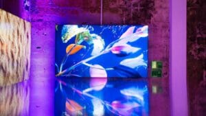 NFTها «سهوا» مالیات می‌گیرند می‌گوید سناتور استرالیایی در جریان نمایشگاه هنری سیدنی هوش داده‌های پلاتوبلاک چین را در نمایشگاه هنری برگزار کرد. جستجوی عمودی Ai.