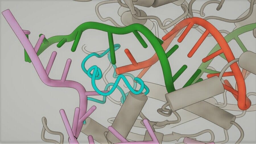 Alat Pengeditan Gen CRISPR yang Didesain Ulang Adalah Intelijen Data PlatoBlockchain yang Rawan Kesalahan 4,000 Kali Lebih Sedikit. Pencarian Vertikal. ai.