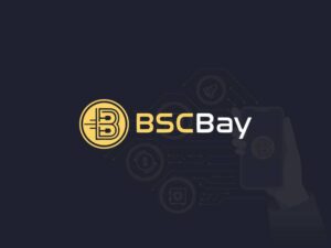 Rewards Launchpad BSCBay Has Just Launched on Pancakeswap PlatoBlockchain Data Intelligence. Vertical Search. Ai.