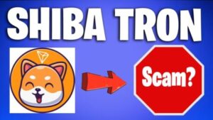 Shiba Tron, The Shiba Inu And Floki Inu ‘Killer’ That Soared 1,000%, Is A Potential Scam PlatoBlockchain Data Intelligence. Vertical Search. Ai.