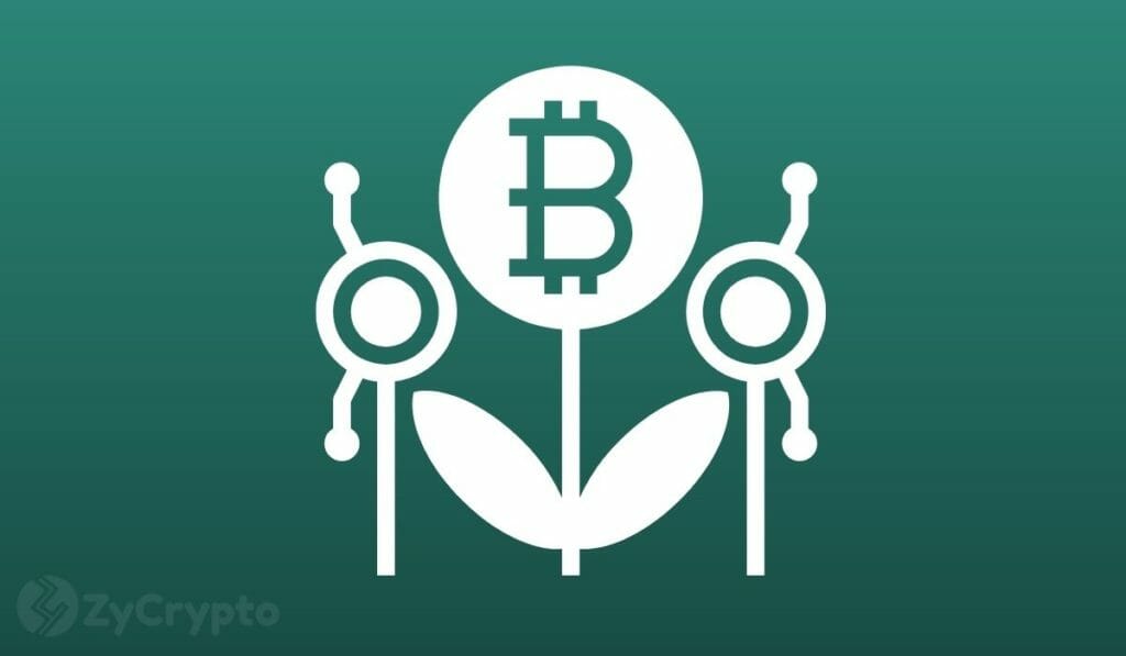O fundador da Skybridge Capital diz que $ 100 em Bitcoin está ao seu alcance ao compartilhar uma trajetória por $ 500,000 em inteligência de dados PlatoBlockchain. Pesquisa Vertical. Ai.