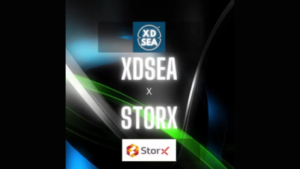 Rețeaua StorX devine răspunsul la nevoile de stocare ale pieței XDSea PlatoBlockchain Data Intelligence. Căutare verticală. Ai.