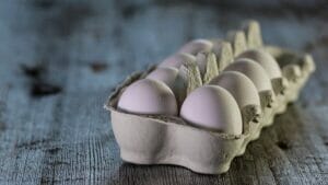 Αυτά τα ασπράδια αυγών «χωρίς κοτόπουλο» χρησιμοποιούν μια συνταγή πρωτεΐνης από το Chicken DNA PlatoBlockchain Data Intelligence. Κάθετη αναζήτηση. Ολα συμπεριλαμβάνονται.