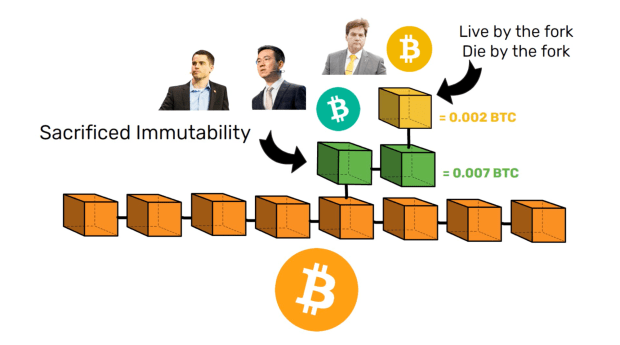 Why Bitcoin Has No Competition Craig Wright PlatoBlockchain Data Intelligence. Vertical Search. Ai.